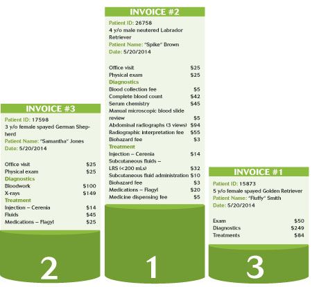 Write a winning invoice for veterinary clients
