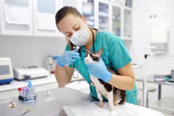 Dr. examining patient