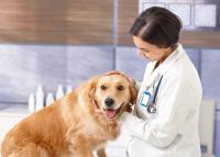 Epigenetics company donates cancer tests to HOPE AACR 