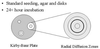 i4-563970-1384611585179.jpg
