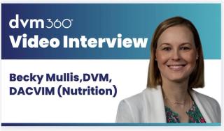 The role of nutrition in senior pet disease management