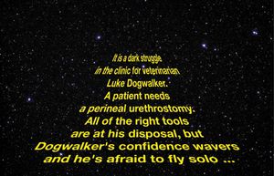 jedi_450.jpg