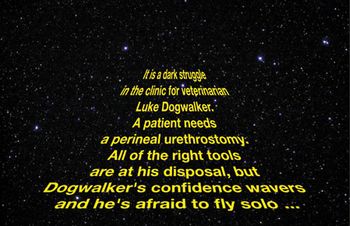 jedi_450.jpg