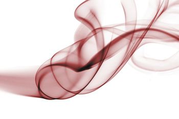 veterinary-Smoke-450px-172341381.jpg