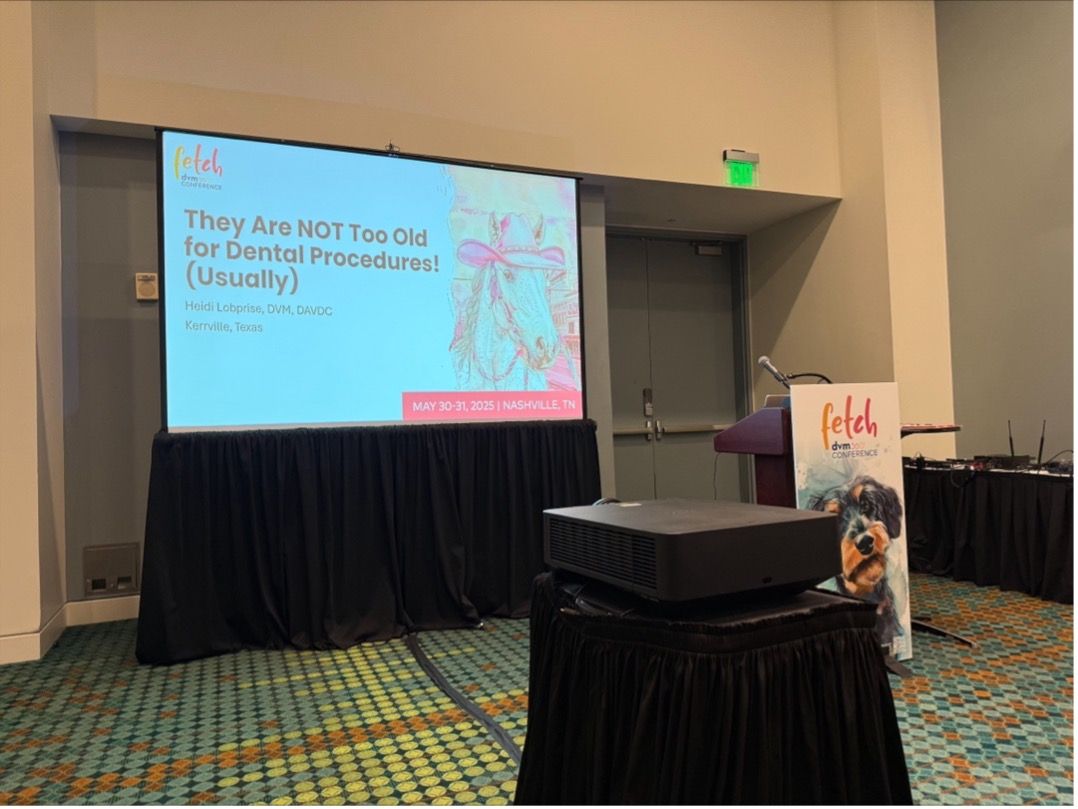 Heidi Lobprise’s talk at Fetch Nashville focused on providing veterinarians with important information about pain management and anesthesia protocols for older pets with certain comorbidities. Photo Credit: Will Wetzel