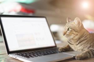 How to maintain client loyalty by utilizing effective retention marketing