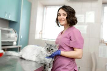 veterinary professional