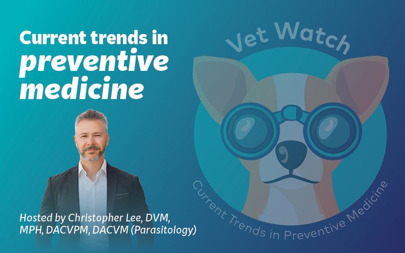 Vet Watch