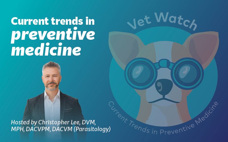 Vet Watch