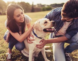 Veterinary-couple-with dog- 170844008_450pix.jpg