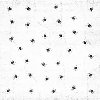 veterinary-ticks-on-white-background-toolkit-AdobeStock_175700167-450.jpg