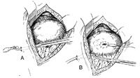 i1-727369-1384189493193.jpg