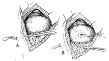 i1-727369-1384189493193.jpg