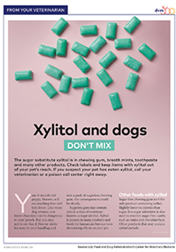 xylitol handout.png
