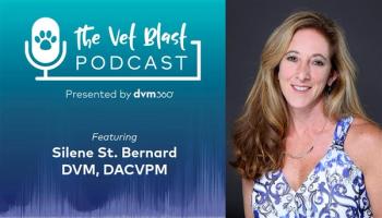 The mysterious canine respiratory disease: What we know and what we don’t so far