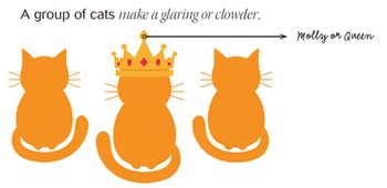veterinary_A-group-of-cats-make-a-glaring-or-clowder_460px.jpg