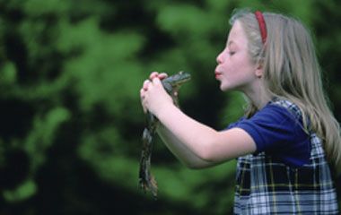veterinary_kissing_frogs360_flash-667502-1404228485371.jpg