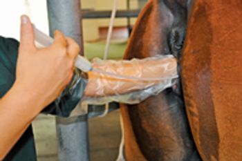 veterinary_0211_Kane1-705933-1384213153479.jpg