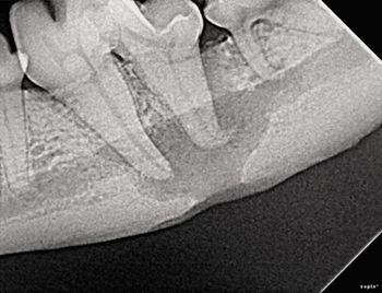 veterinary_Taney_Figure5_450px.jpg