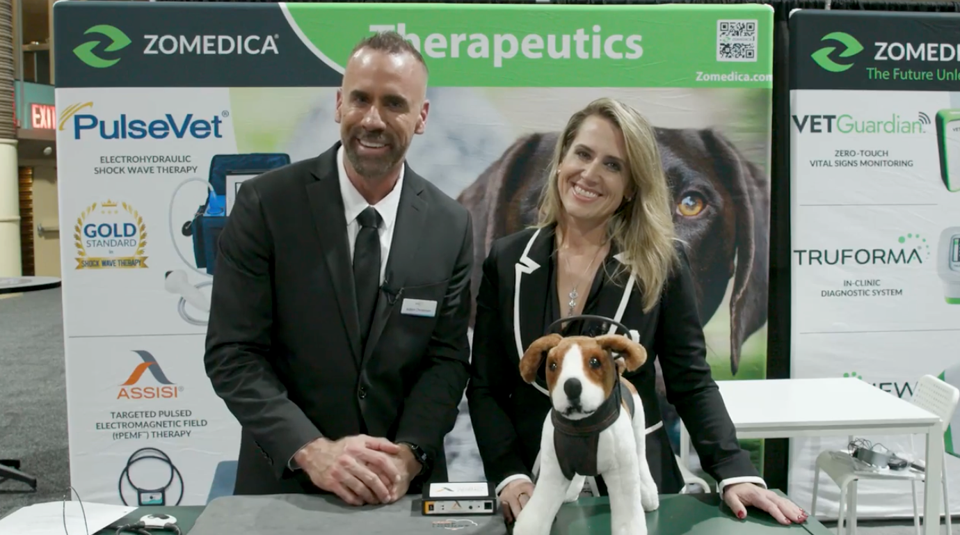 Drug-free ways to manage pain and separation anxiety in pets