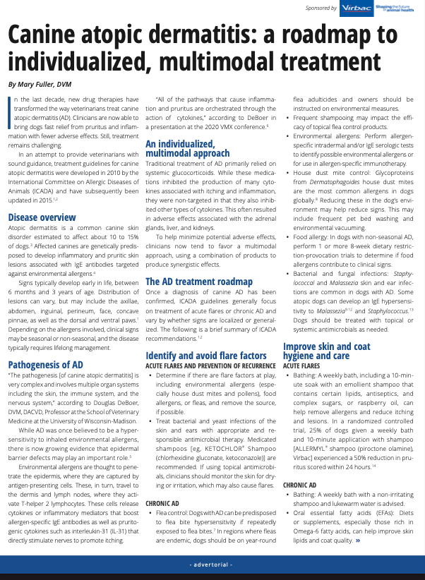 Canine atopic dermatitis a roadmap to individualized multimodal