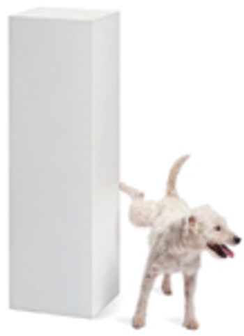 veterinary-dog-pee-pedestal-158682902-831269-1404215571804.jpg