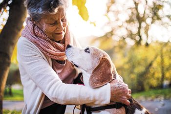 Veterinary_dog_senior_dog_old_woman-450px-AdobeStock_182543556.jpg