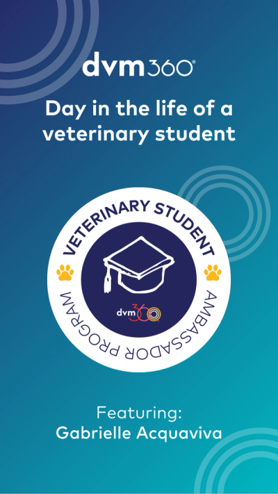 Day in the life of a veterinary student: Gabrielle Acquaviva