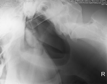 i4-563801-1384616247004.jpg