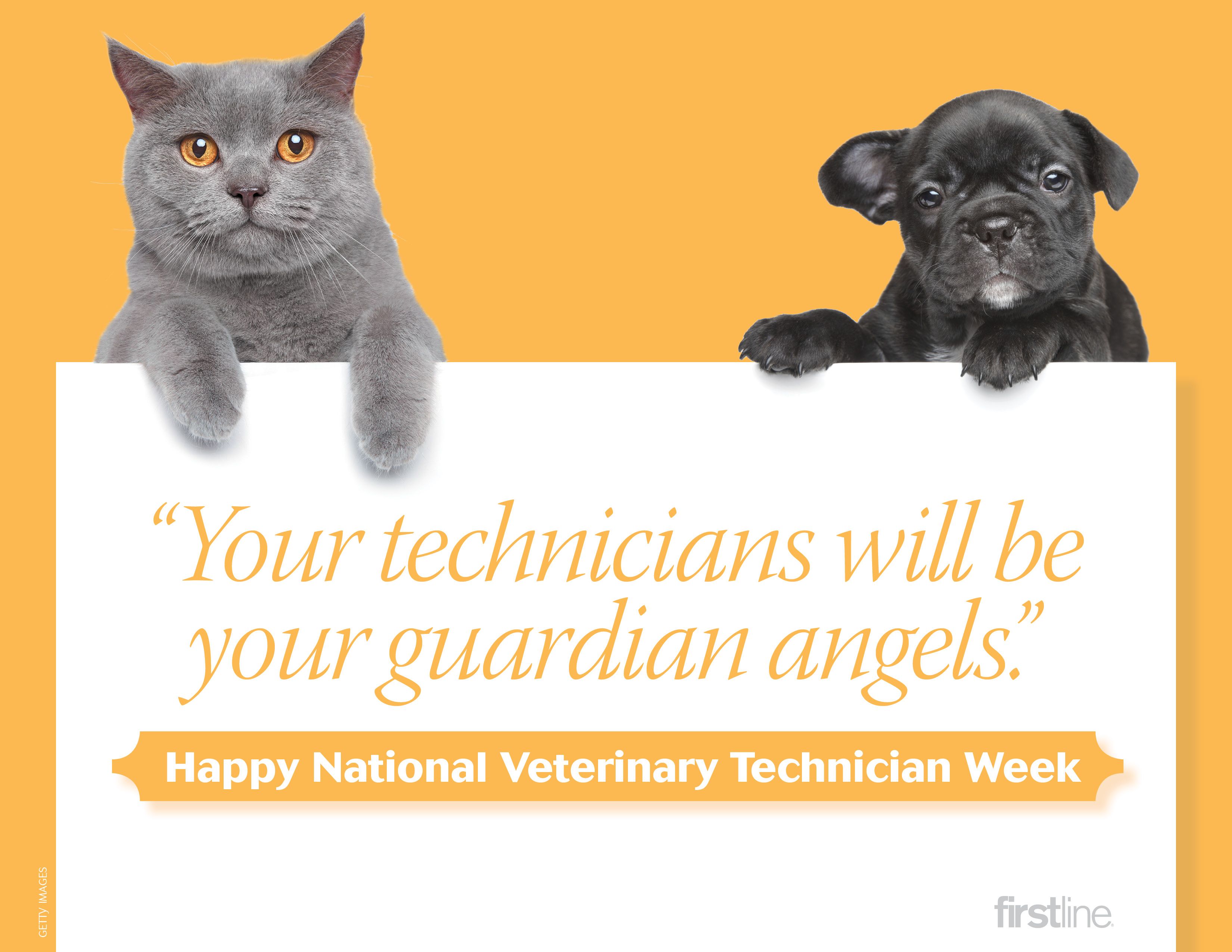 Happy National Veterinary Technician Week card
