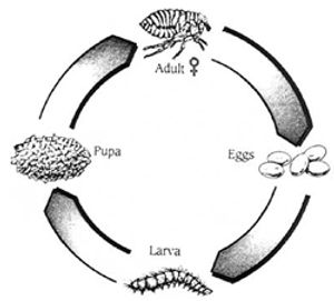i1-737192-1384185464431.jpg