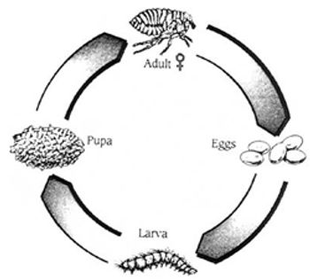 i1-737192-1384185464431.jpg