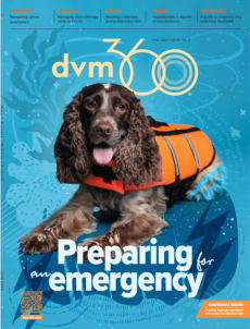 dvm360 June 2024