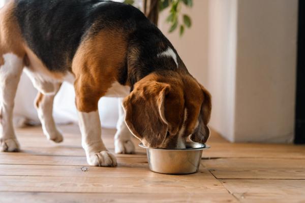 Frozen dog food voluntarily recalled following complaints of plastic contamination
