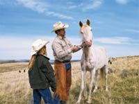 Equine rabies: Do your clients get the message? (sponsored by Intervet ...