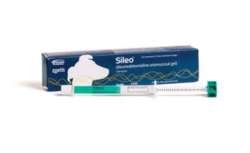 sileo-450-zoetis.jpg