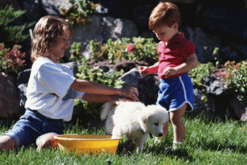 petandkid_thumbnail-31107-1384858209954.gif
