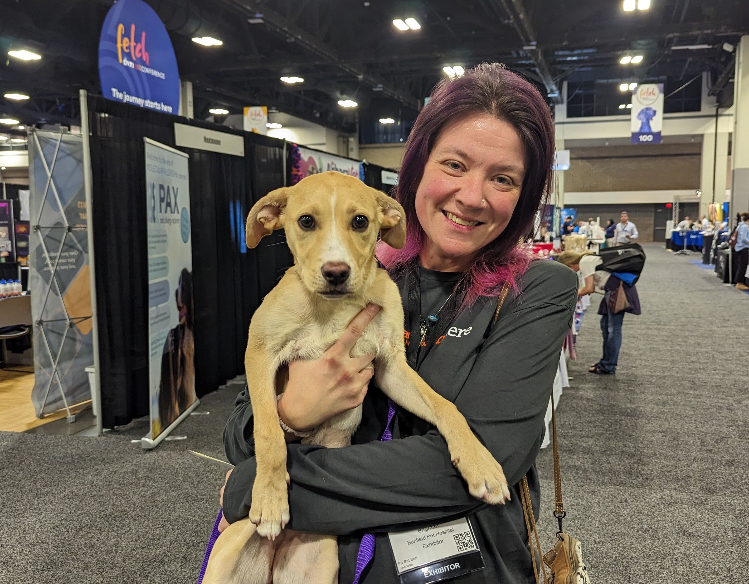 Two pups find their forever homes while at Fetch Charlotte