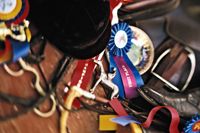 veterinary_EQ_world_games-688912-1384228948776.jpg