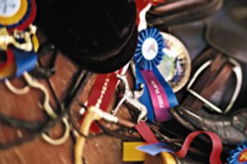 veterinary_EQ_world_games-688912-1384228948776.jpg