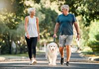 Couple walking with senior dog