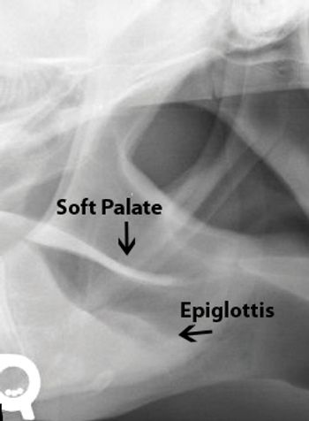 i4-310061-1384764979849.jpg