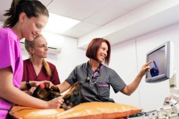 Veterinary team collaboration