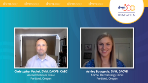 Role of Patient History for the Workup of an Itchy Dog