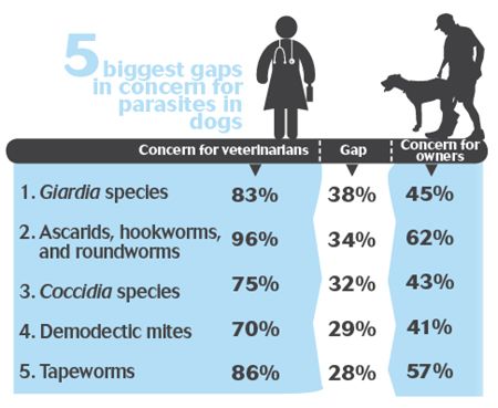 veterinary_CAPC_top_dog_concerns_450-1.jpg