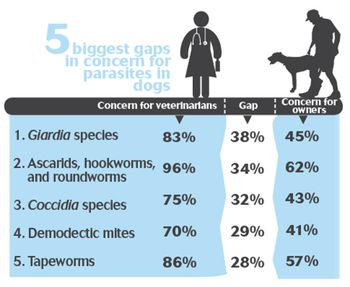 veterinary_CAPC_top_dog_concerns_450-1.jpg