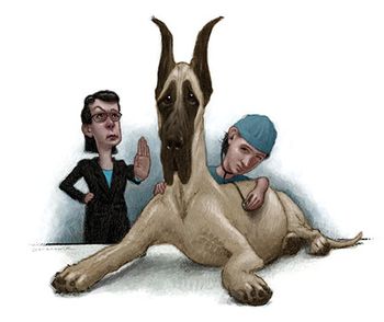 veterinary-great-dane-old-school-new-school-450.jpg