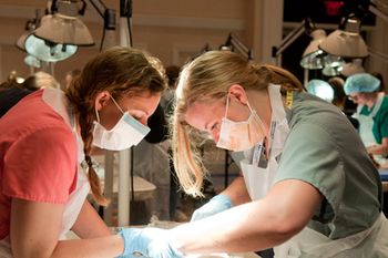 veterinary_GI_surgery_lab_3_450.jpg