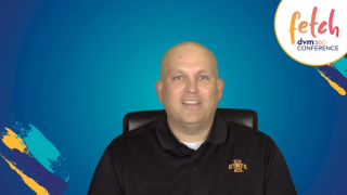 Assessing canine pyoderma