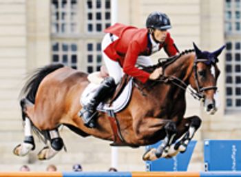 veterinary_show_jumping-688926-1384228567021.jpg